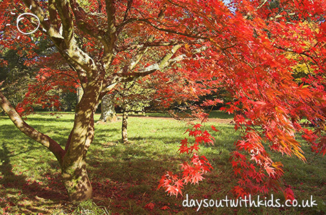 Westonbirt Arboretum on #Daysoutwithkids