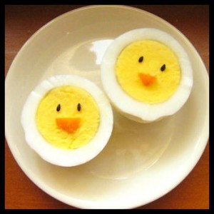 chick eggs