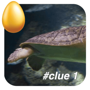 clue 1