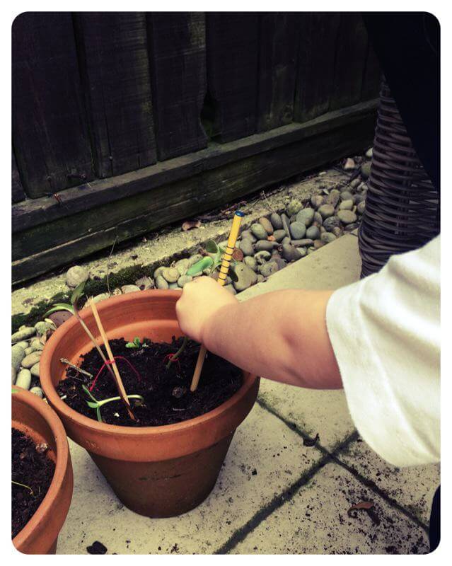 Planting Vegetables #DaysOutWithKids