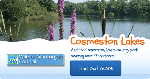 cosmeston-lakes