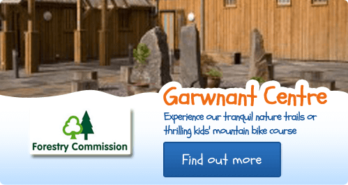 garwnant