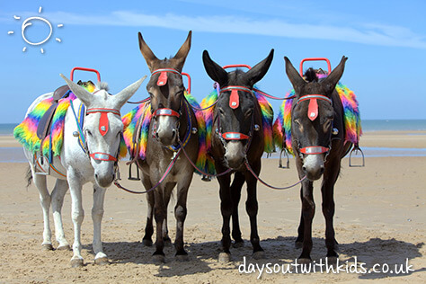 Donkeys-at-a-beach-resort #Daysoutwithkids