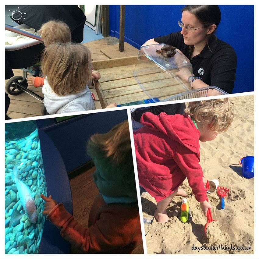 days out with kids oceanarium 3