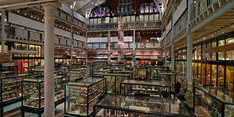 7 Free Things To Do In Oxford: Pitt-Rivers-Museum