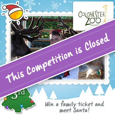 #12daysoutfacebook-post-colchesterzoo-closed
