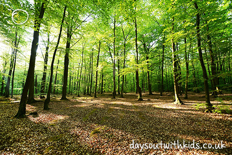 Sherwood Pines Forest Park on #Daysoutwithkids