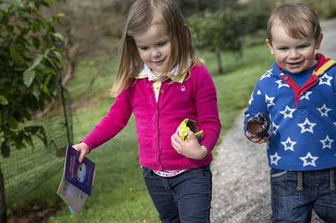 © National Trust Rob Stothard