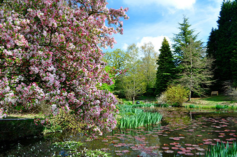 Furzey Gardens on #Daysoutwithkids