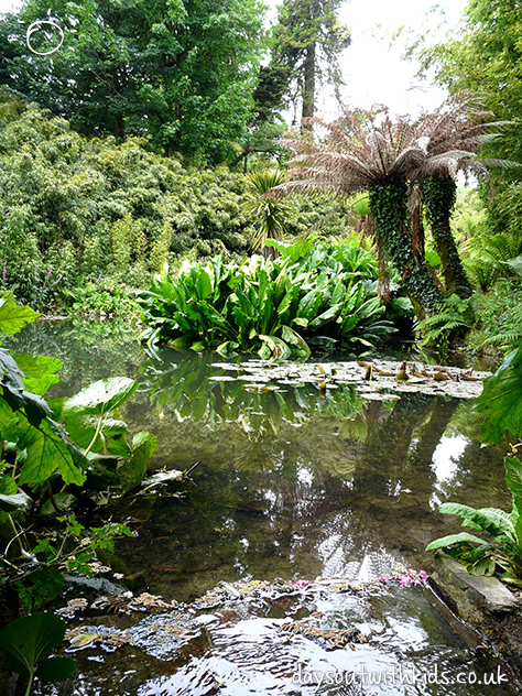 Lost Gardens of Heligan on #Daysoutwithkids