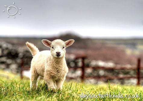 Heeleys City Farm on #Daysoutwithkids