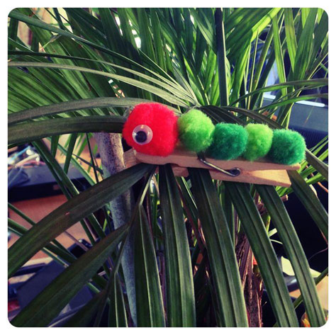 Make some adorable caterpillar pegs on #Daysoutwithkdis