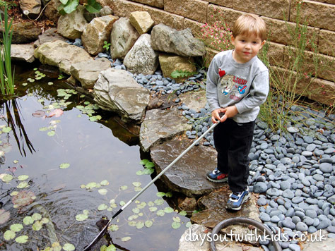 Go Pond Dipping on #Daysoutwithkids