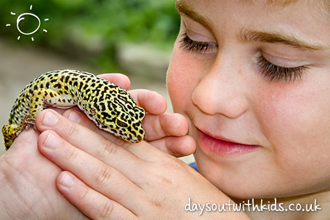 Reptile Experience on #Daysoutwithkids