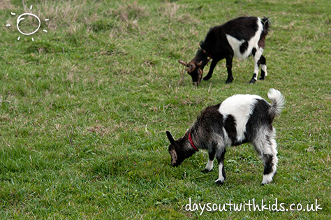 Heaton Park on #Daysoutwithkids