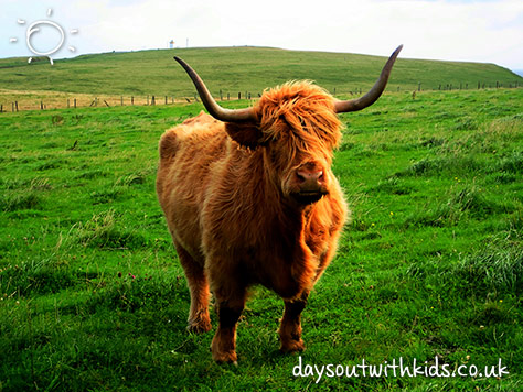 Beecraigs Country Park on #Daysoutwithkids