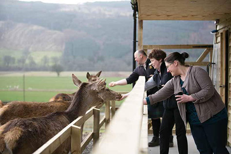 Highland Safaris, Safari Lodge, Dull, Aberfeldy