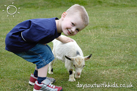 goats on #Daysoutwithkids