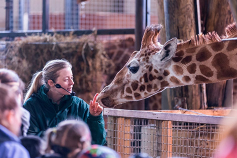 Marwell-Zoo on #Daysoutwithkids