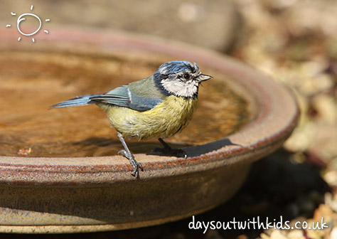 Provide some water on #Daysoutwithkids