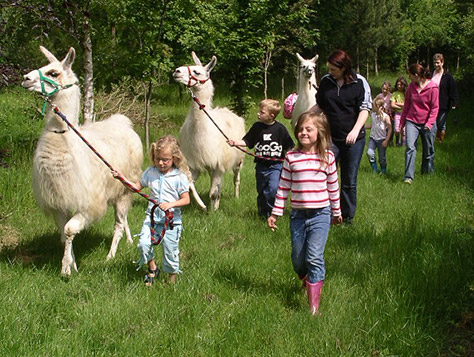 Llama trekking on #Daysoutwithkids