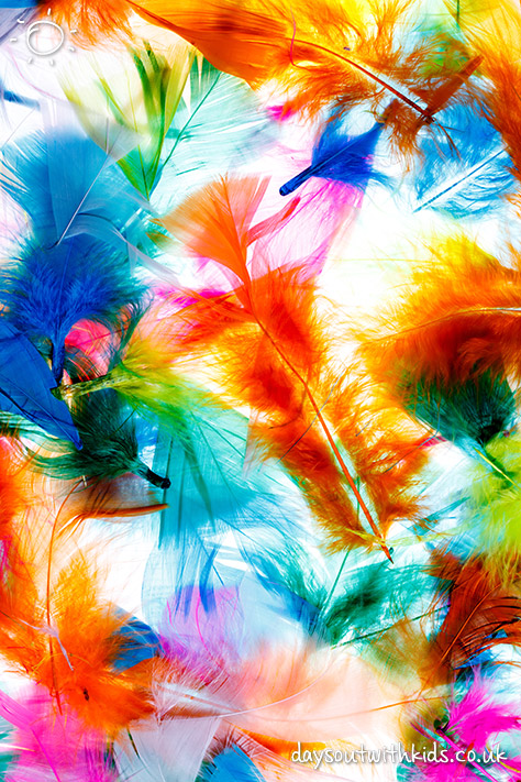 bigstock-Colorful-feathers-97783427