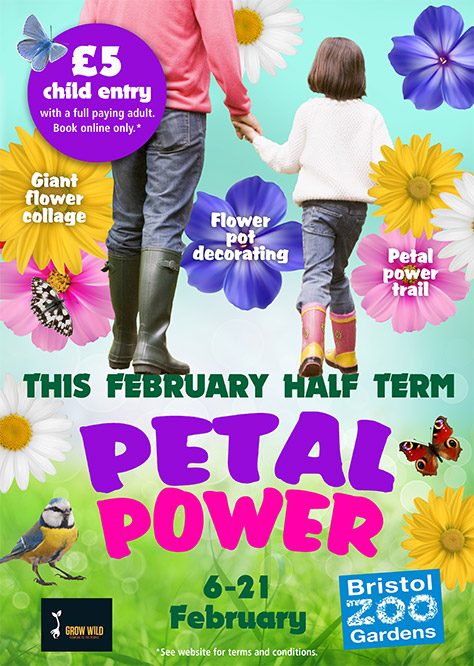 Petal-Power-poster