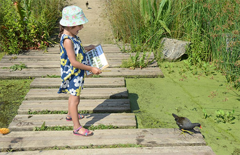 WWT-London-Wetlands