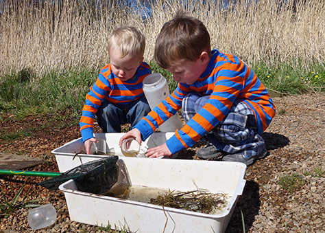 pond-dipping-1