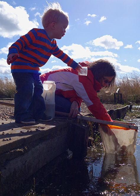 pond-dipping-2