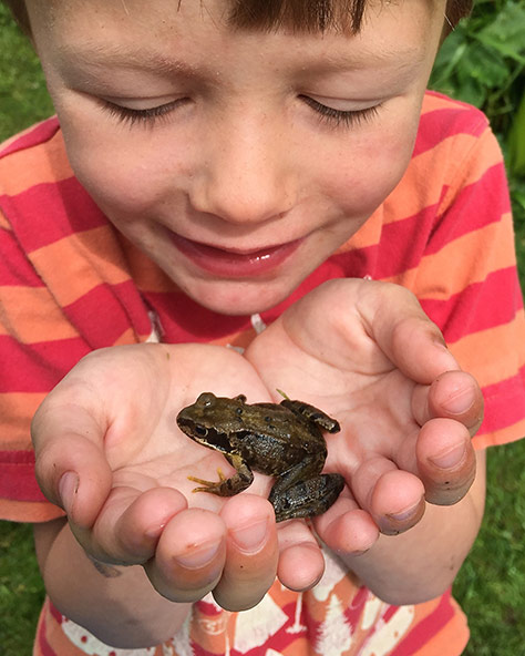 pond-dipping-3