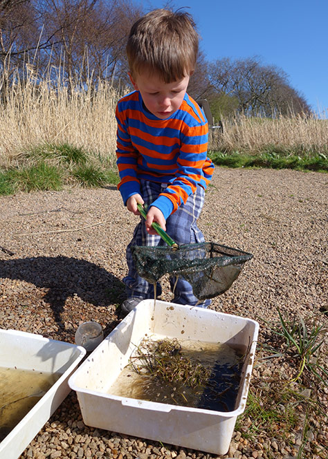 pond-dipping-4