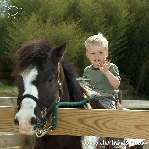 bigstock-Children-With-Pony-982328