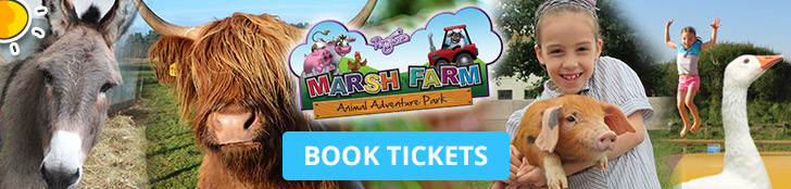 blogbanner-attractiondeals-marshfarm