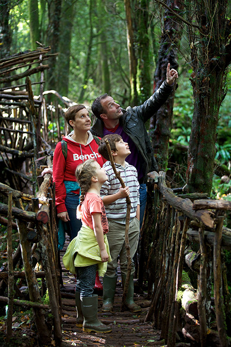 Puzzlewood