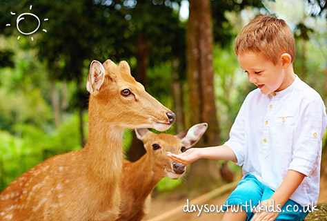 bigstock-Cute-Boy-Feeding-Young-Deers-F-83789195