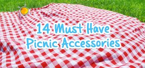 Must Have Picnic Accessories