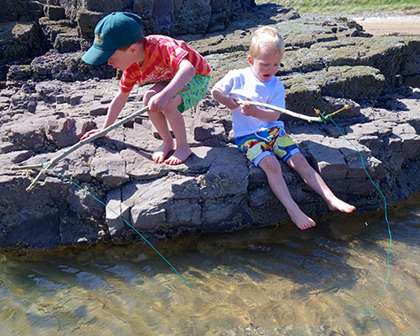 Best bait – how to catch a crab in Padstow! – Rock Cottage