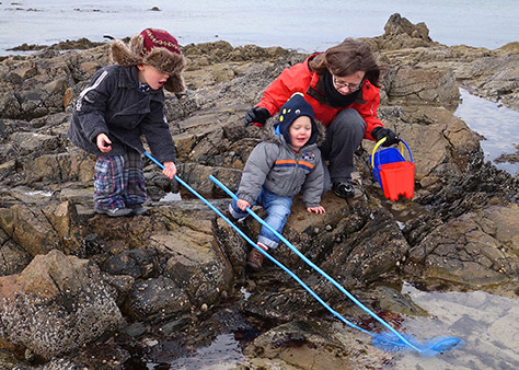 Best bait – how to catch a crab in Padstow! – Rock Cottage