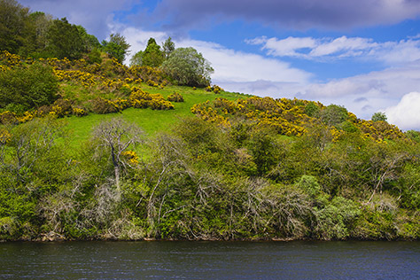 Loch-Insh