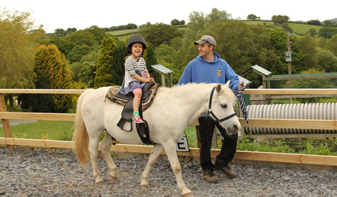 Miniature-Pony-Centre