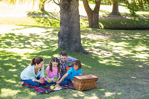 Picnic-in-the-Park---Stanley-Park