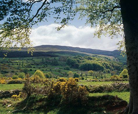 Slieve-Gullion