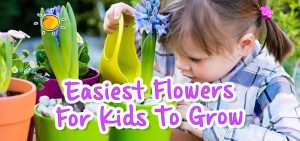 Easiest Flowers for Kids To Grow