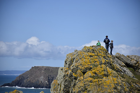 Lizard-Point---National-Trust-Images-Peter-Hall