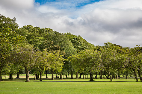 Meadows-Park-Edinburgh