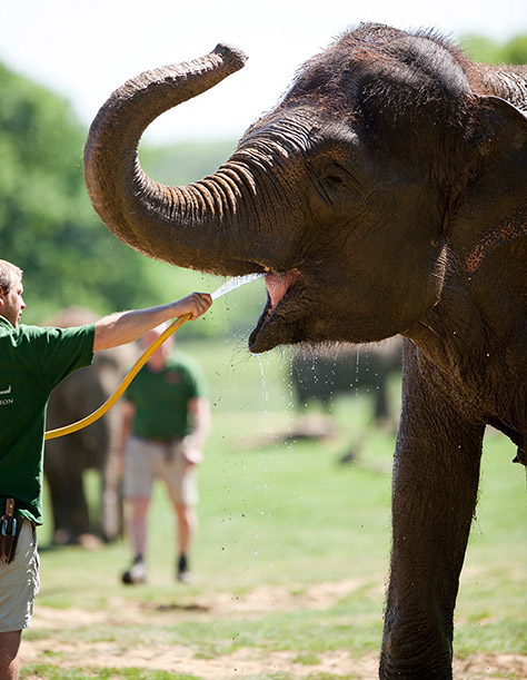 ZSL-Whipsnade