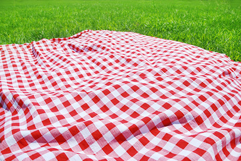 bigstock-Picnic-Cloth-on-Meadow-27364604 (1)