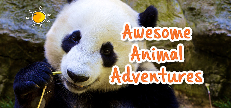 Awesome Animal Adventures
