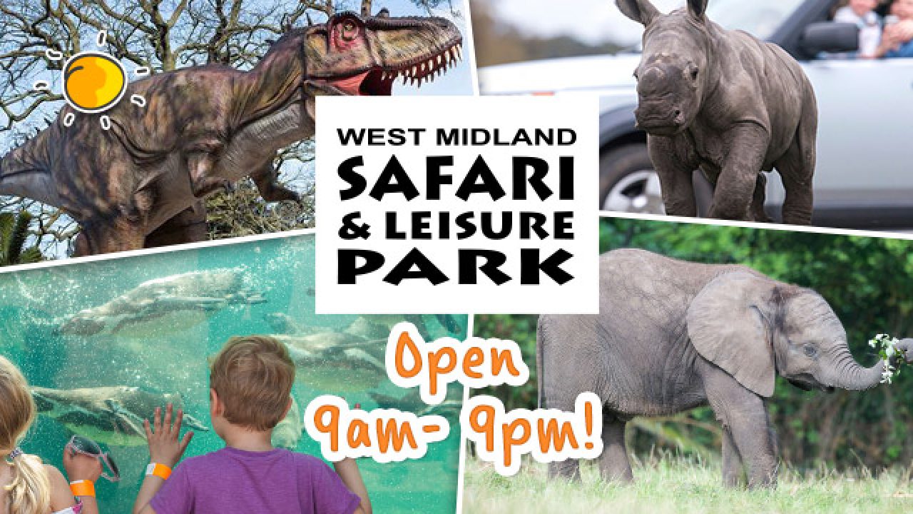 Have a Wild Time at West Midland Safari Park! - Picniq Blog